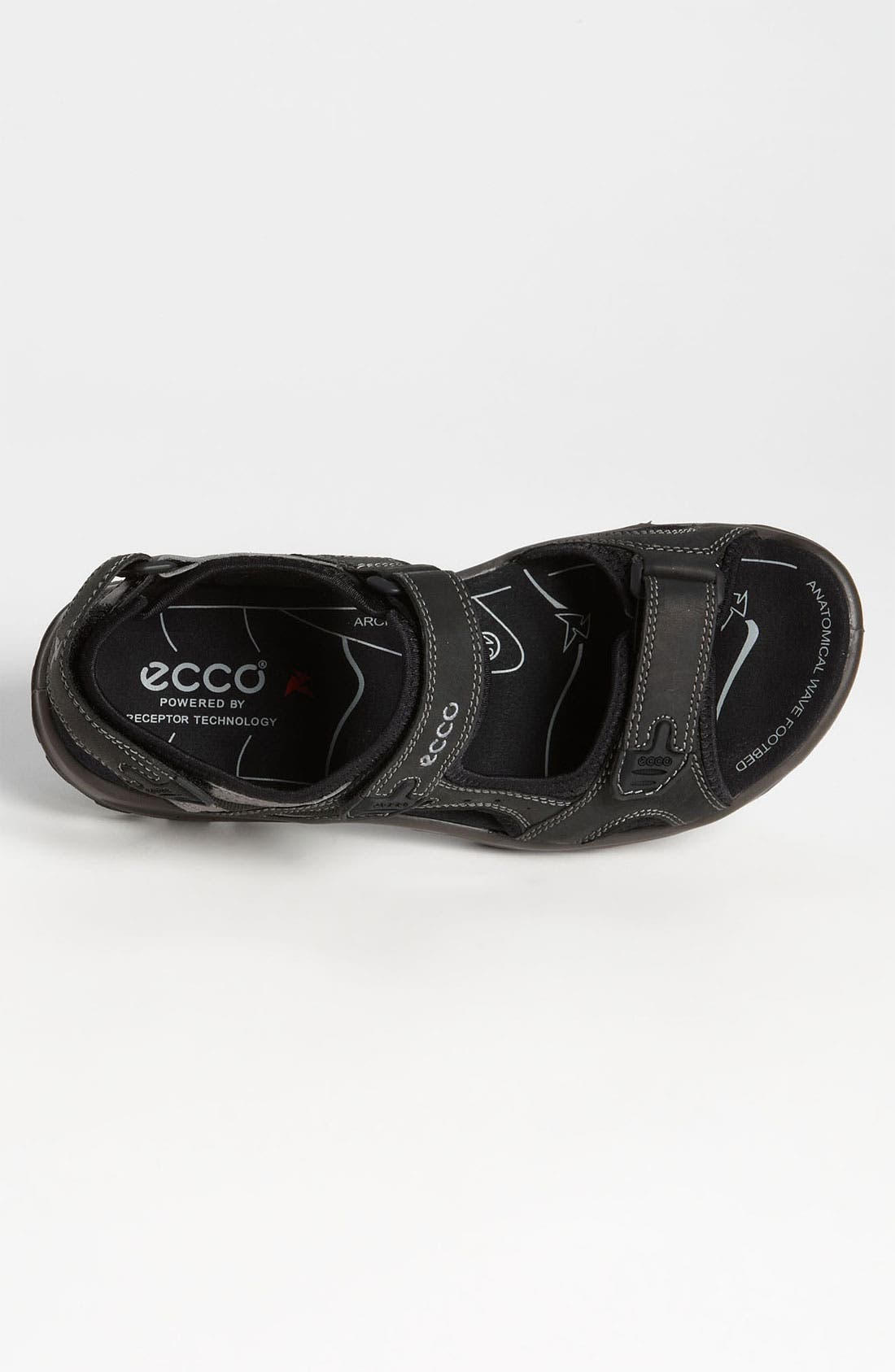ecco rainier