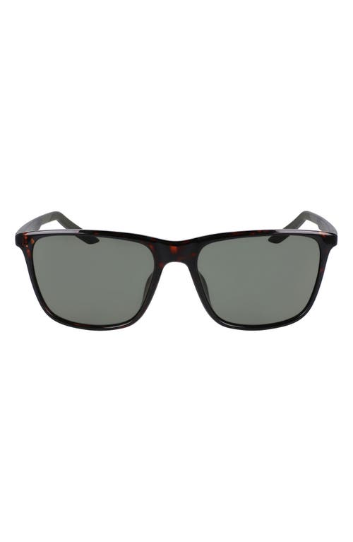 State 55mm Sunglasses in Tortoise/Green