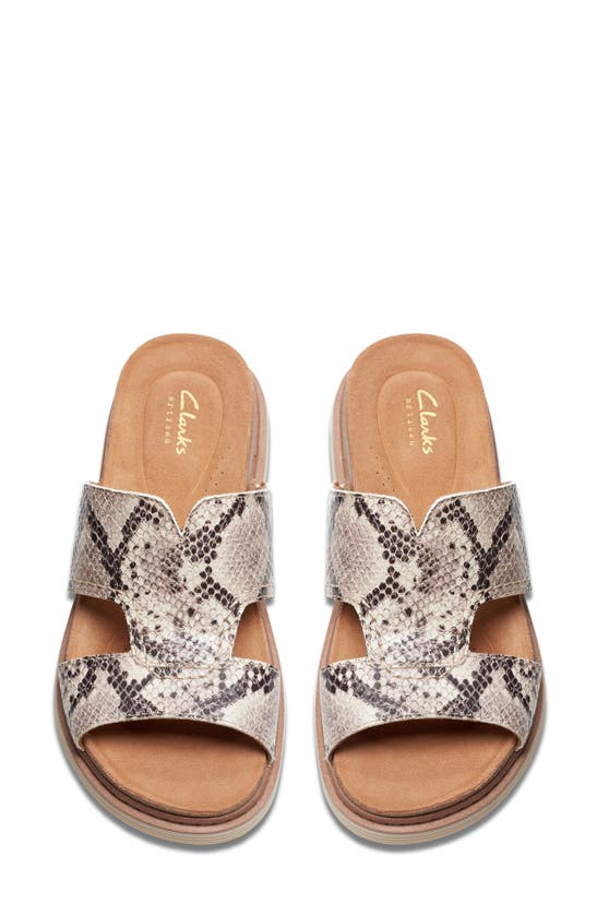 Shop Clarks (r) Arwell Slide Sandal In Snake Print