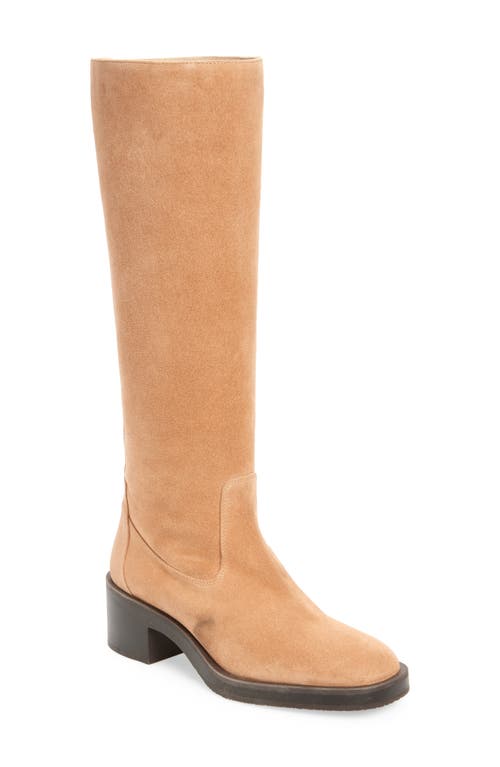 Shop Stuart Weitzman Kaia Knee High Boot In New Camel Sport Suede