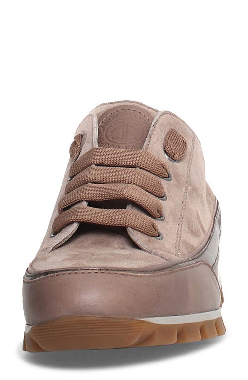 Shop Candice Cooper Janis Strip Sneaker In Taupe