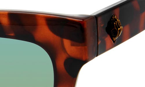 Shop Kurt Geiger London 53mm Cat Eye Sunglasses In Havana Crystal Purple/rainbow