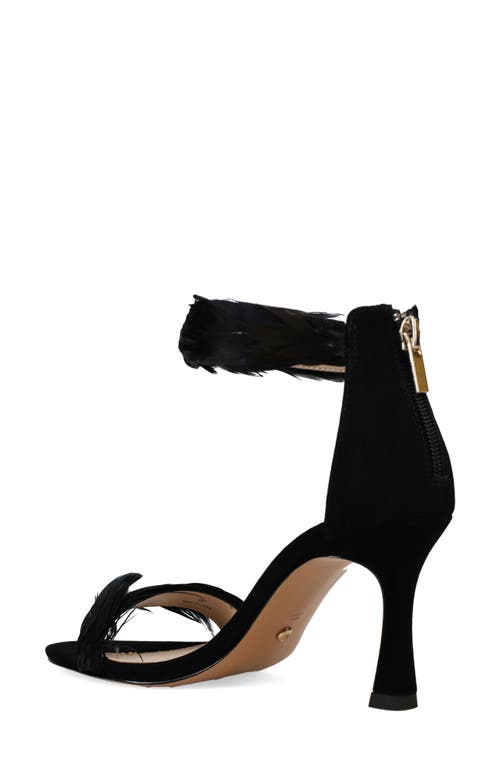 Shop Pelle Moda Breece Ankle Strap Sandal In Black