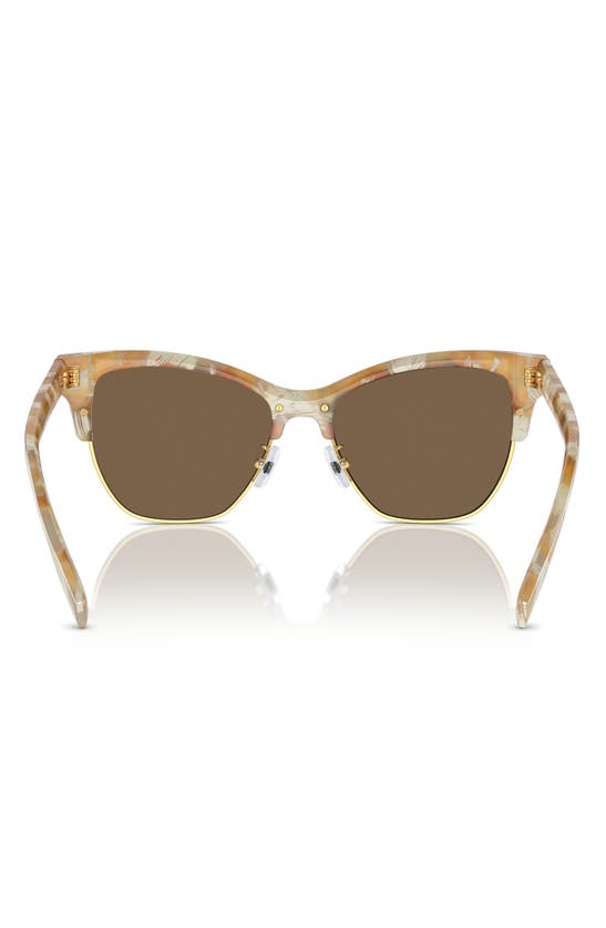 TORY BURCH TORY BURCH 53MM CAT EYE SUNGLASSES 