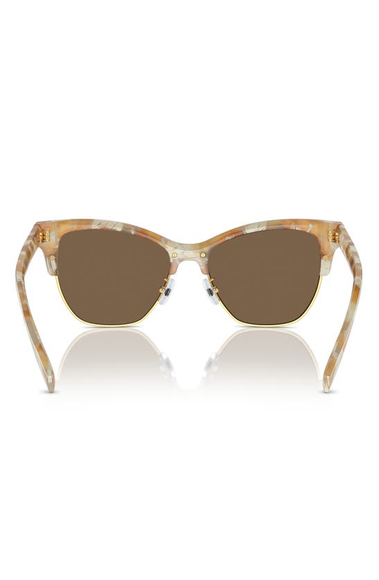 Tory Burch T-monogram Acetate & Plastic Cat-eye Sunglasses In Dark Brown