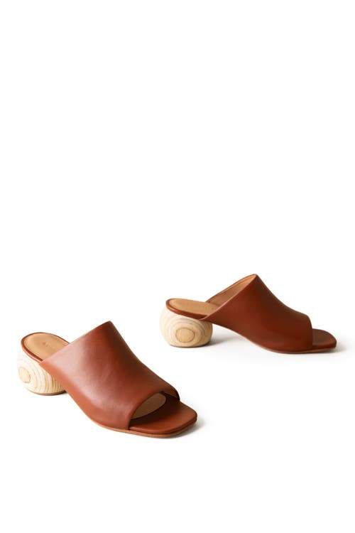 Shop Huma Blanco Milla Slide Sandal In Cinnamon