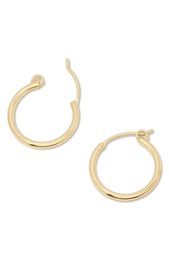 Shop Brook & York Brook And York Nellie Hoop Earrings In Gold - 19mm