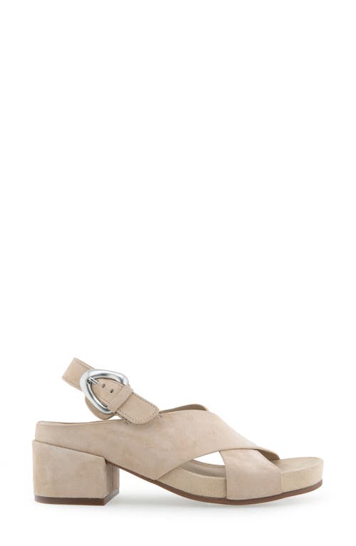 Aerosoles Women's Chrystie Buckle Block Heel Sandals In Pale Khaki Suede