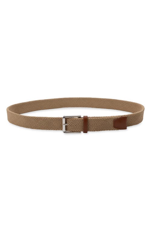 Shop Cole Haan Tubular Stretch Web Belt In Khaki