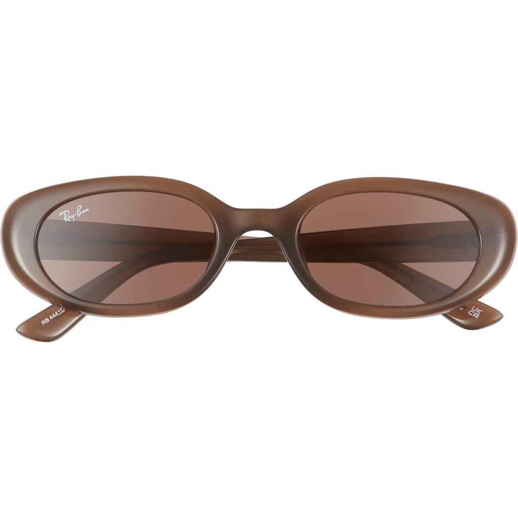 Ray Ban Ray-ban 53mm Pillow Oval Sunglasses In Opal Brown