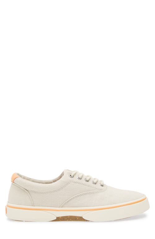 Sperry Top-sider® Sperry Halyard Cvo Canvas Sneaker In Linen Grey