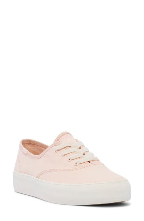 Shop Keds ® Champion Sneaker In Light/pastel Red Canvas