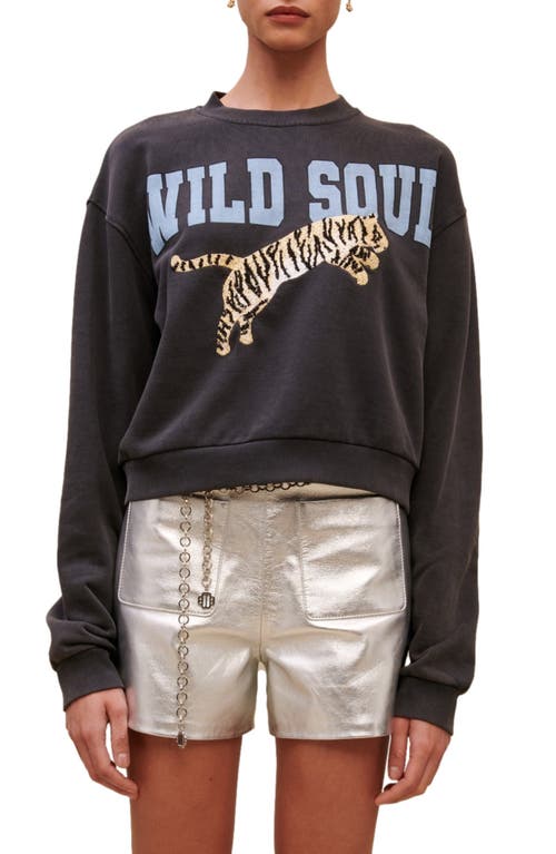 maje Wild Soul Embroidered Cotton Graphic Sweatshirt in Grey