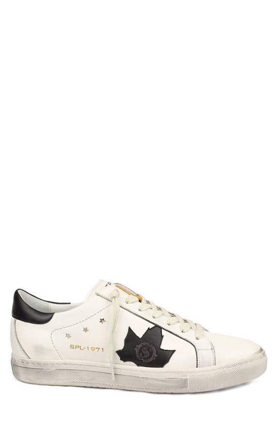 Shop Sepol Fresh Leather Sneaker In White Black