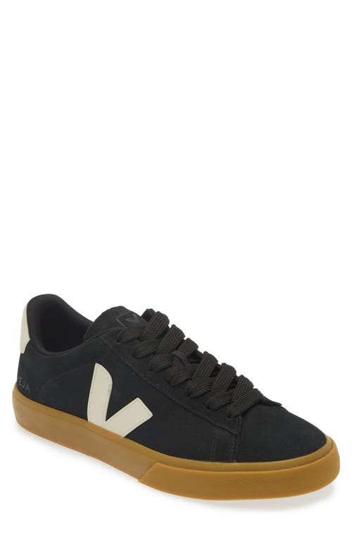 Shop Veja Campo Sneaker In Black Pierre