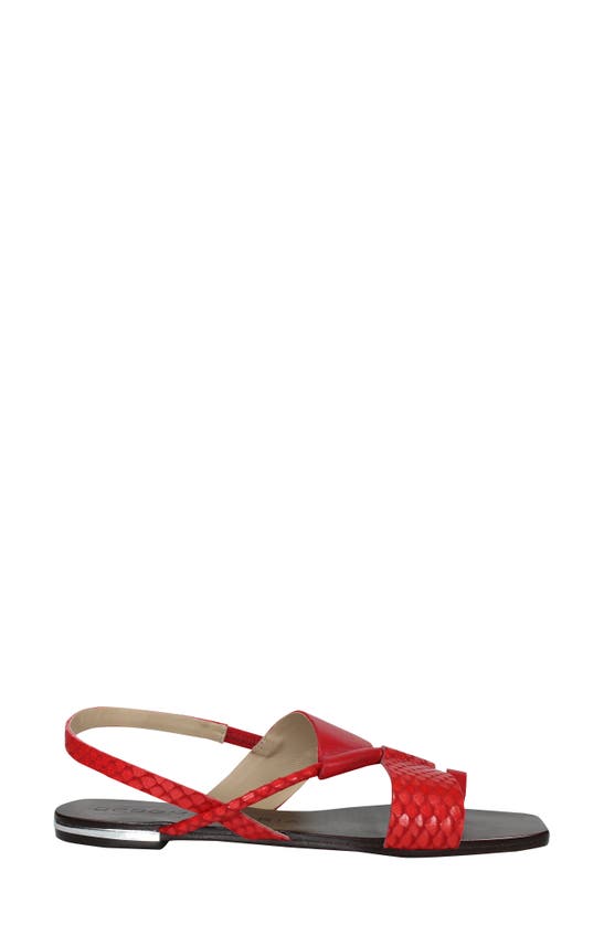 Shop Bcbgmaxazria Marlin Slingback Sandal In Vermelho