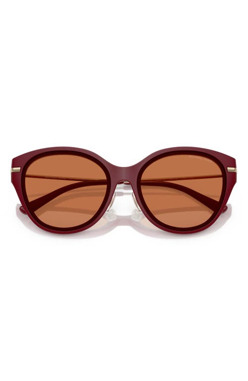 Michael Kors 59mm Round Sunglasses In Dark Red