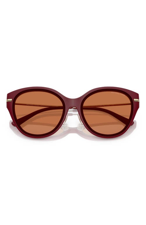 Shop Michael Kors 59mm Round Sunglasses In Dark Red