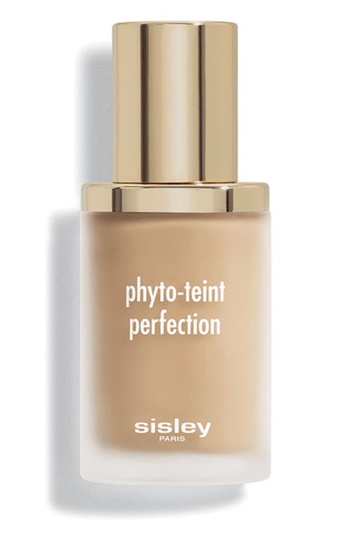 Sisley Paris Phyto-Teint Perfection Foundation in 3W2 Hazel at Nordstrom, Size 1 Oz