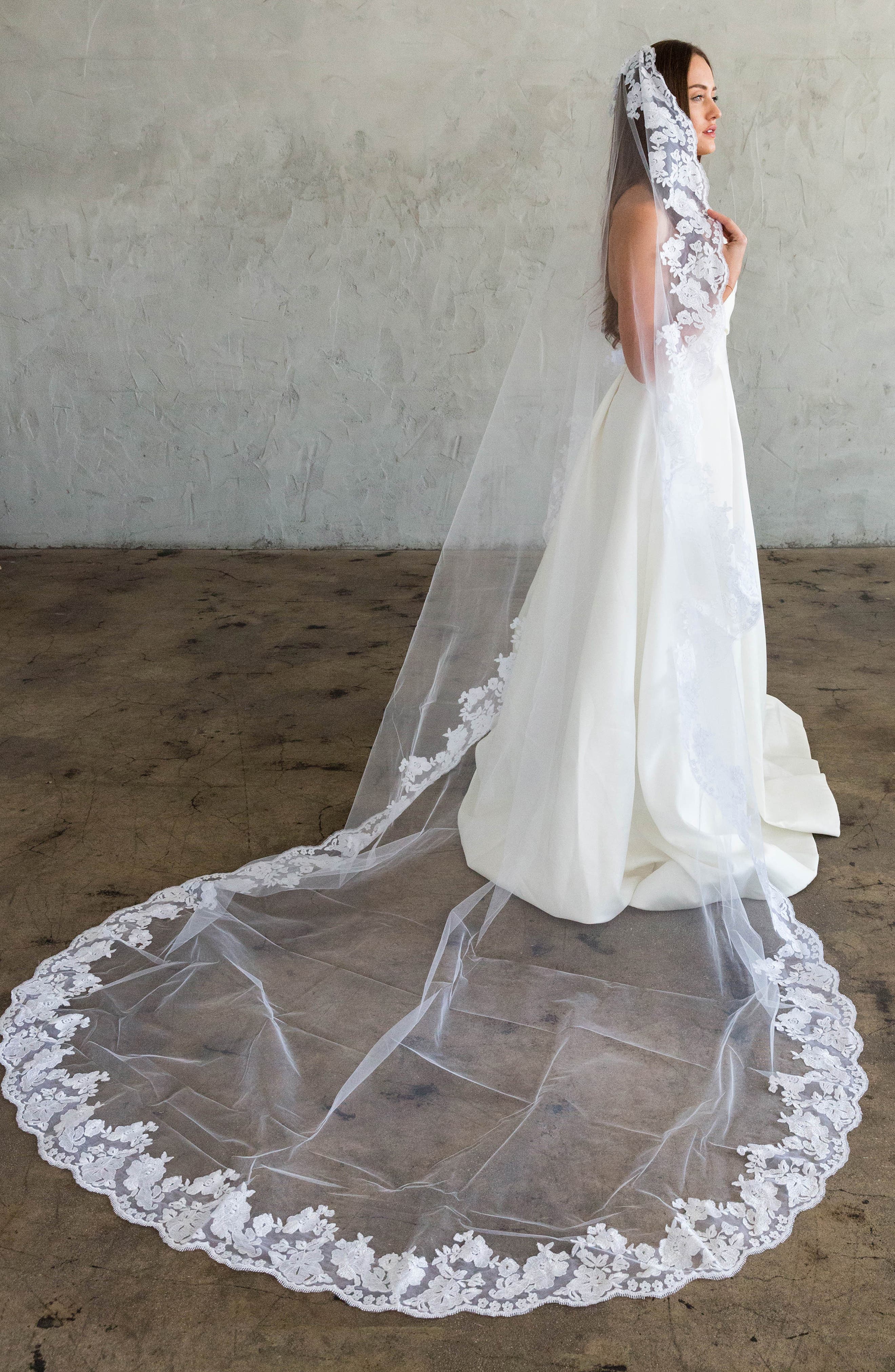 cathedral veil with lace trim