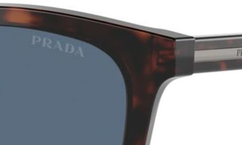 Shop Prada 55mm Pillow Sunglasses In Brown/ Dark Blue