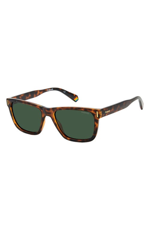 Polaroid 54mm Polarized Square Sunglasse In Havana/green Polar