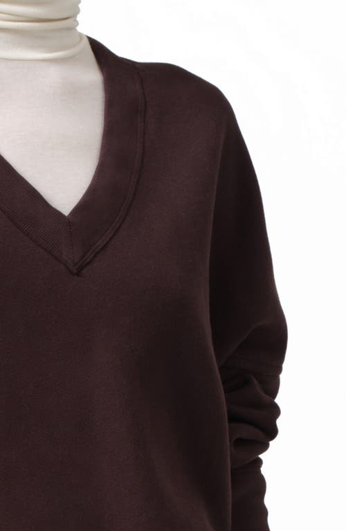 Shop Citizens Of Humanity Ronan V-neck Sweatshirt In Clove