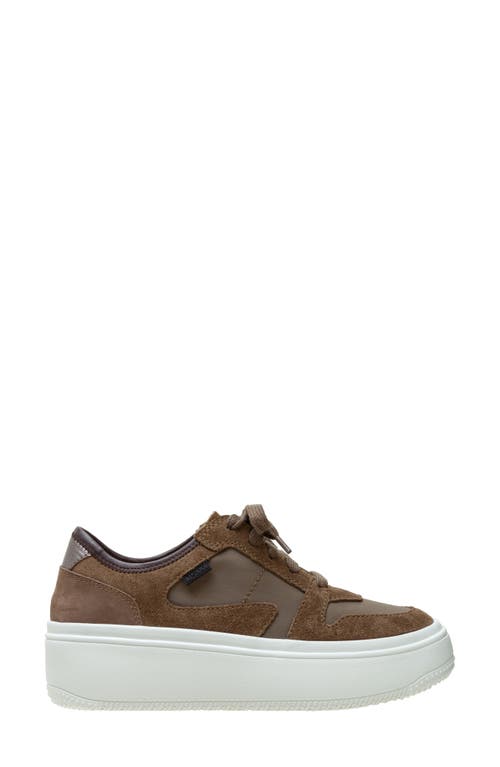 Shop Linea Paolo Gains Platform Sneaker In Dark Olive