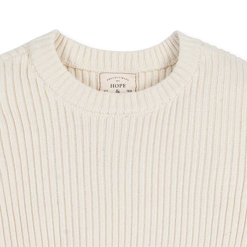 Shop Hope & Henry Organic Herringbone Detail Crew Neck Sweater In Ivory Herringbone Edge