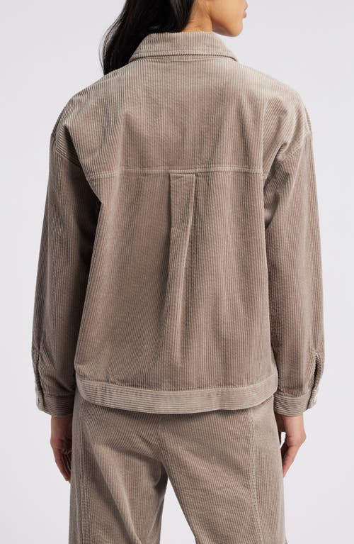 Shop Eileen Fisher Classic Collar Corduroy Jacket In Taupe