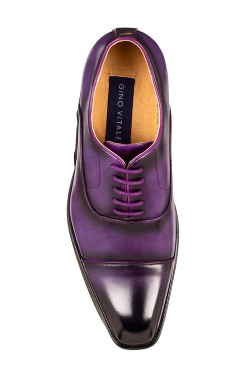 Gino Vitale Cap Toe Oxford In Purple