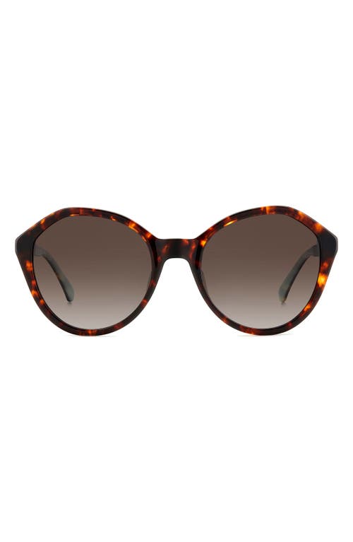 Kate Spade New York Jezebel 54mm Gradient Round Sunglasses In Havana/brown Gradient