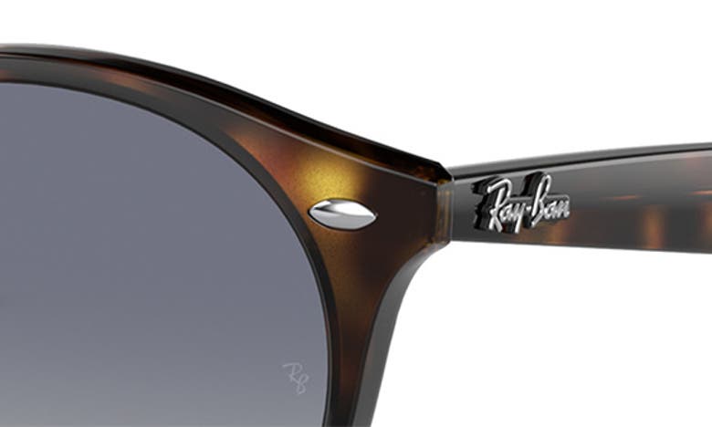 Shop Ray Ban 49mm Retro Sunglasses In Lite Havana