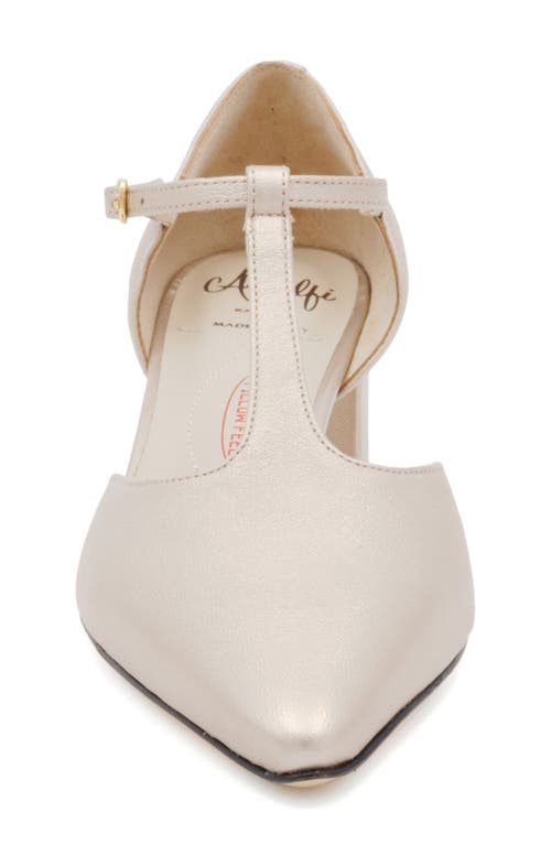 Amalfi By Rangoni Pipistrello Pointed Toe Pump In Arktos Etoile