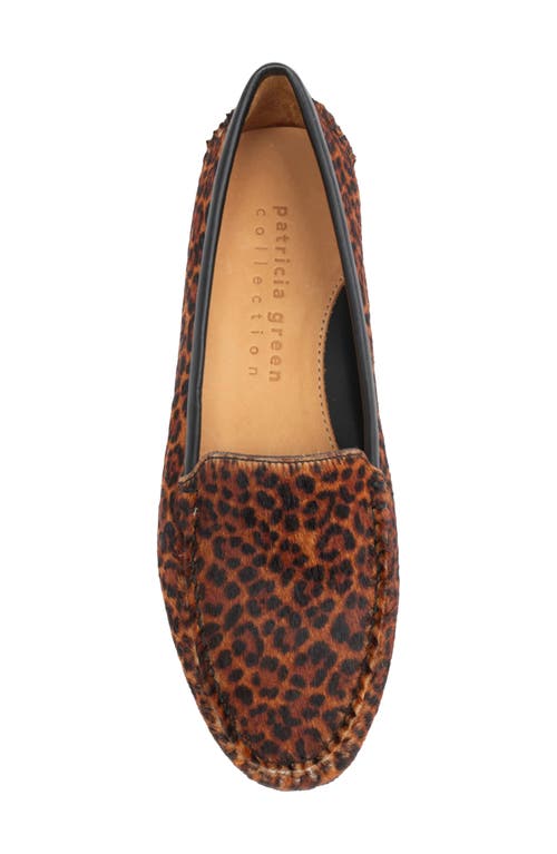Shop Patricia Green 'jillian' Loafer In Dark Brown Leopard Haircalf