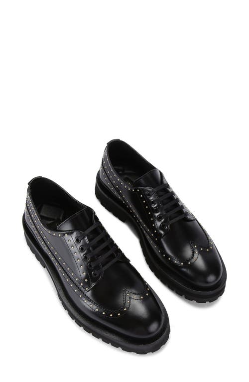 Kurt Geiger London Drayton Stud Derby In Charcoal