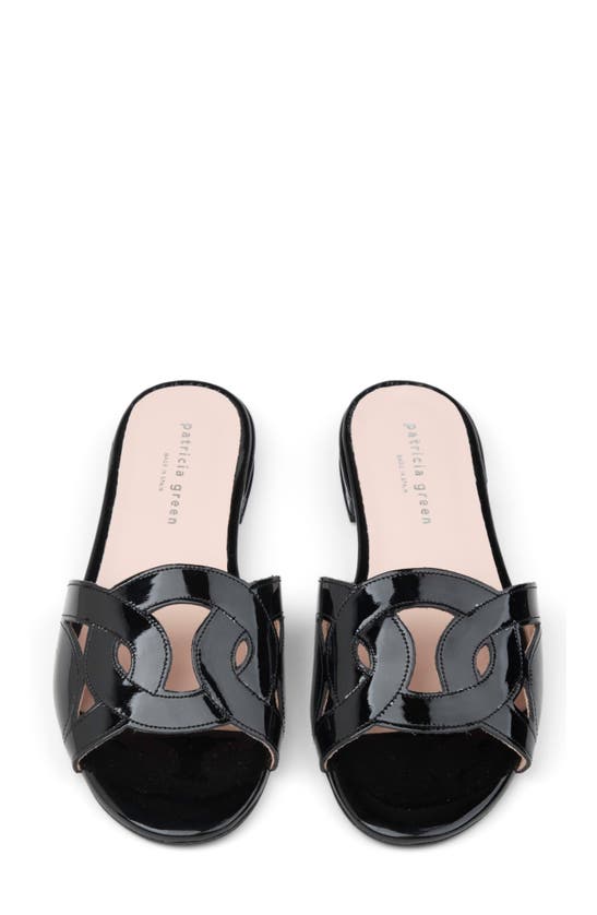 Shop Patricia Green Boca Sandal In Black