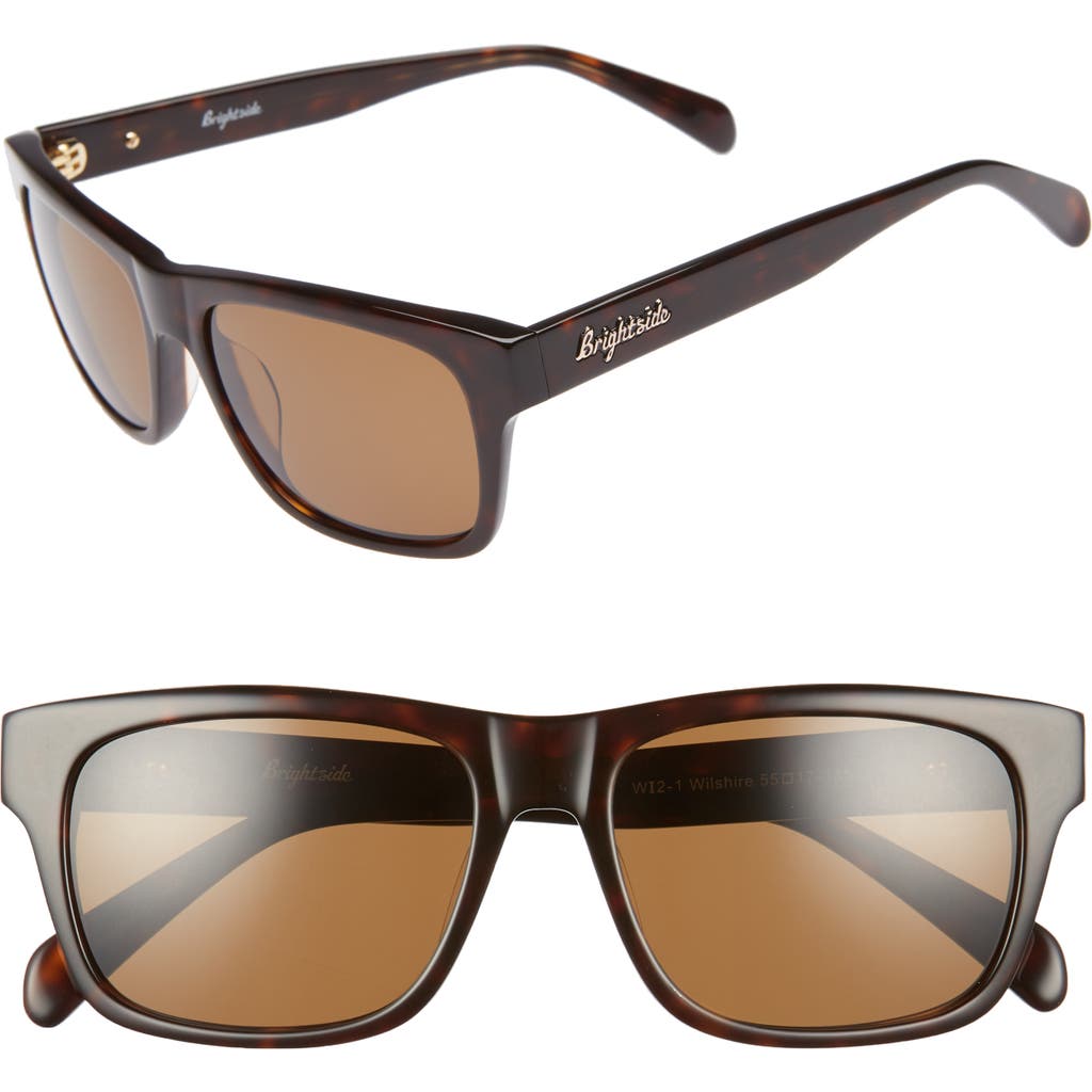 Brightside Wilshire 55mm Square Sunglasses In Brown