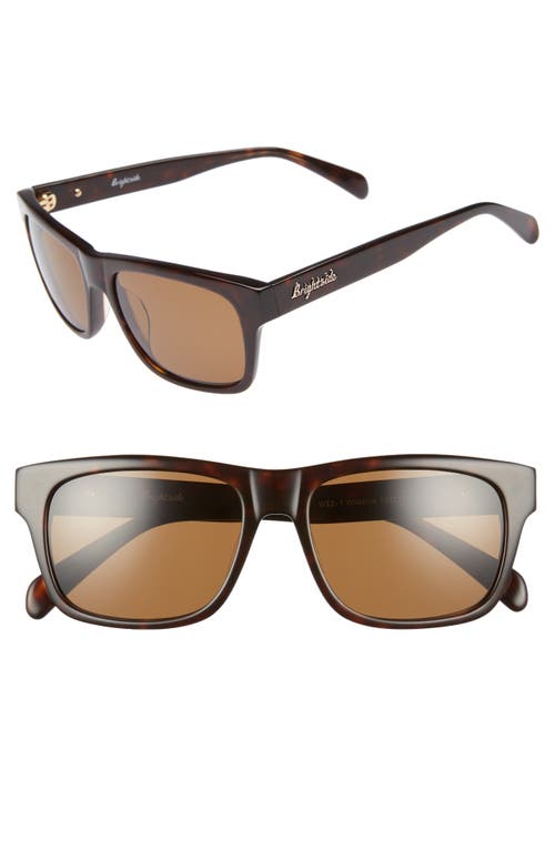 Wilshire 55mm Square Sunglasses in Tortoise/Brown