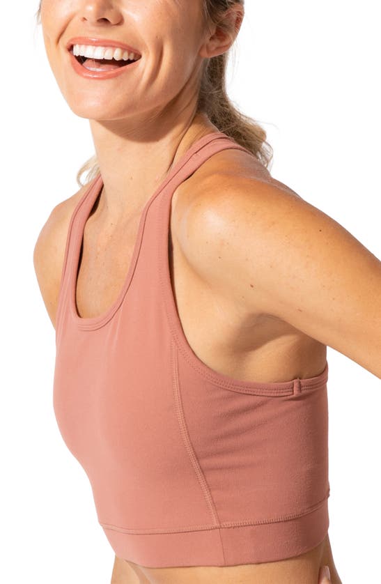 Shop Threads 4 Thought Lunette Sports Bra In Cinnamon