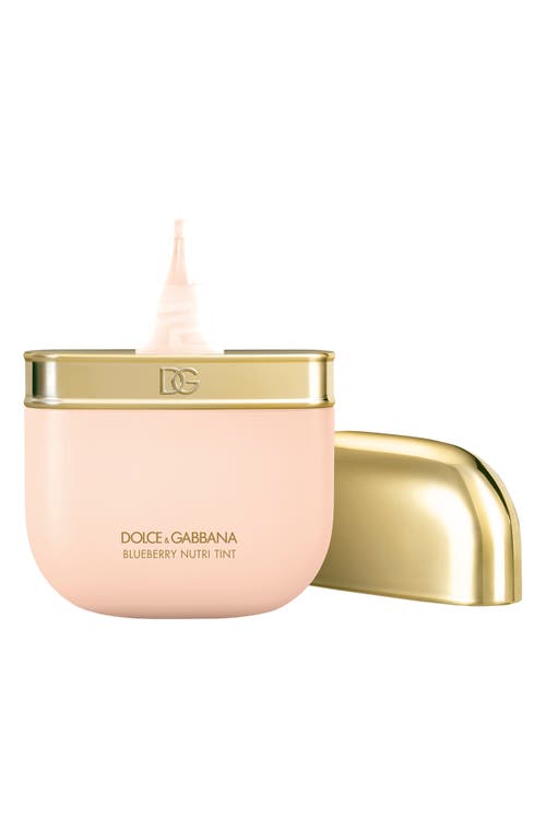 Dolce & Gabbana Dolce&gabbana Blueberry Nutri-tint Hydra-glow & Fresh Skin Tint In 1n