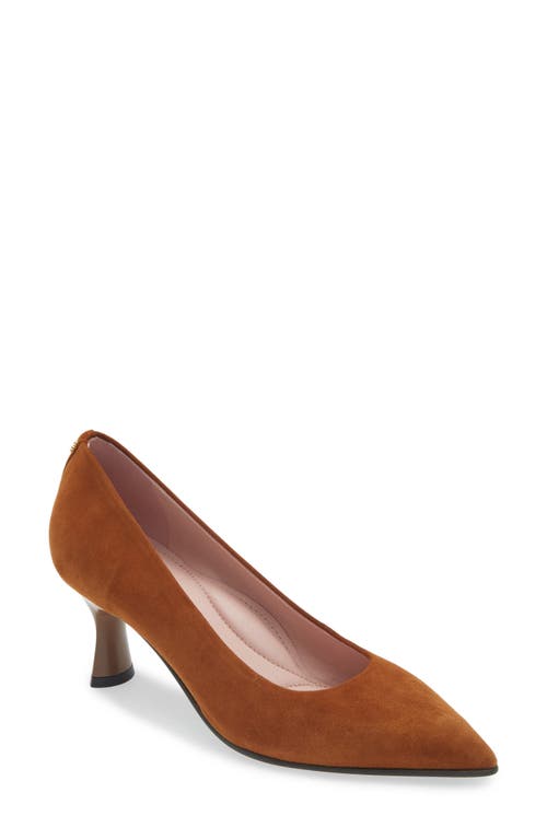 Shop Naot Margot Pointed Toe Pump In Brown Suede