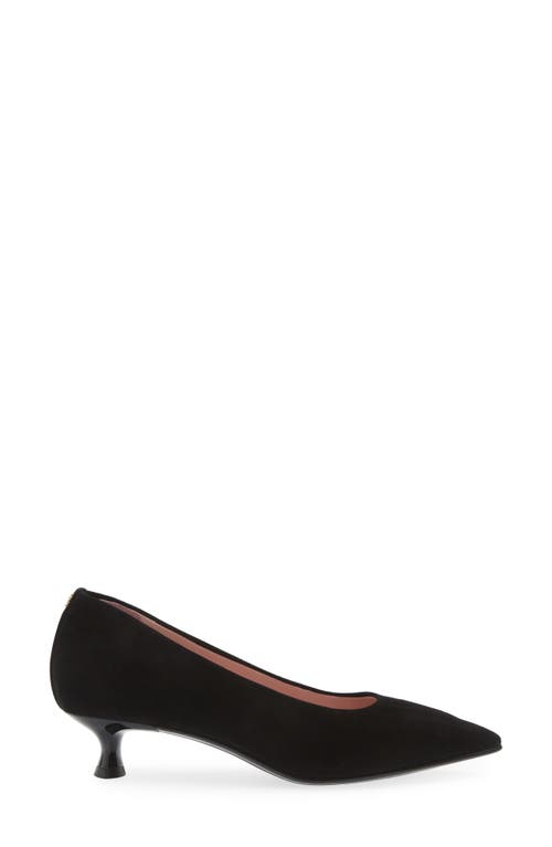 Naot Romy Pointed Toe Pump In Black Classic Suede