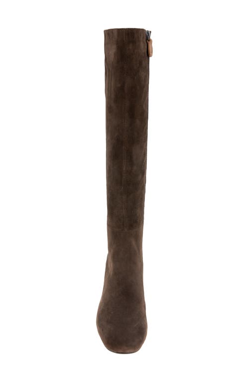 Shop Gentle Souls By Kenneth Cole Emily Stretch Knee High Boot In Chocolate Suede