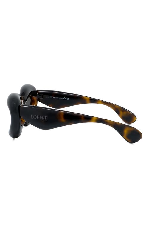 Shop Loewe 55mm Cat Eye Sunglasses In Dark Havana/smoke