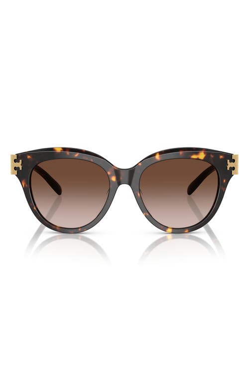 Tory Burch 53mm Gradient Phantos Sunglasses In 20161353 Brown Tort