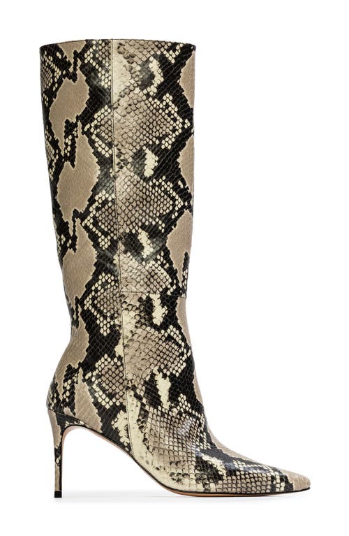 Black Suede Studio Friday 80 Pointed Toe Knee High Boot In Peyote Snake