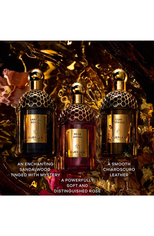 Guerlain Absolus Allegoria Rose Amira Eau De Parfum In No Color