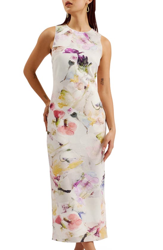 Shop Ted Baker Lilyha Floral Sleeveless Scuba Dress In White