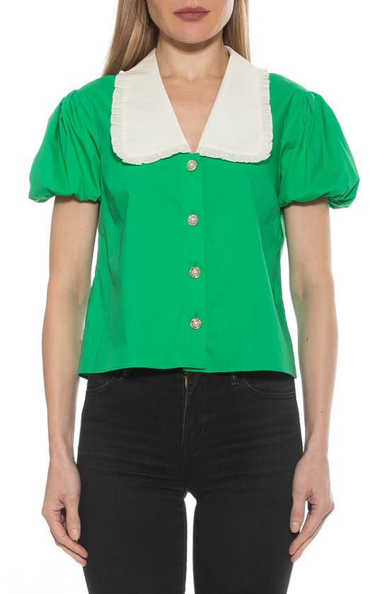 ALEXIA ADMOR SANDRA SHORT SLEEVE BUTTON-UP BLOUSE